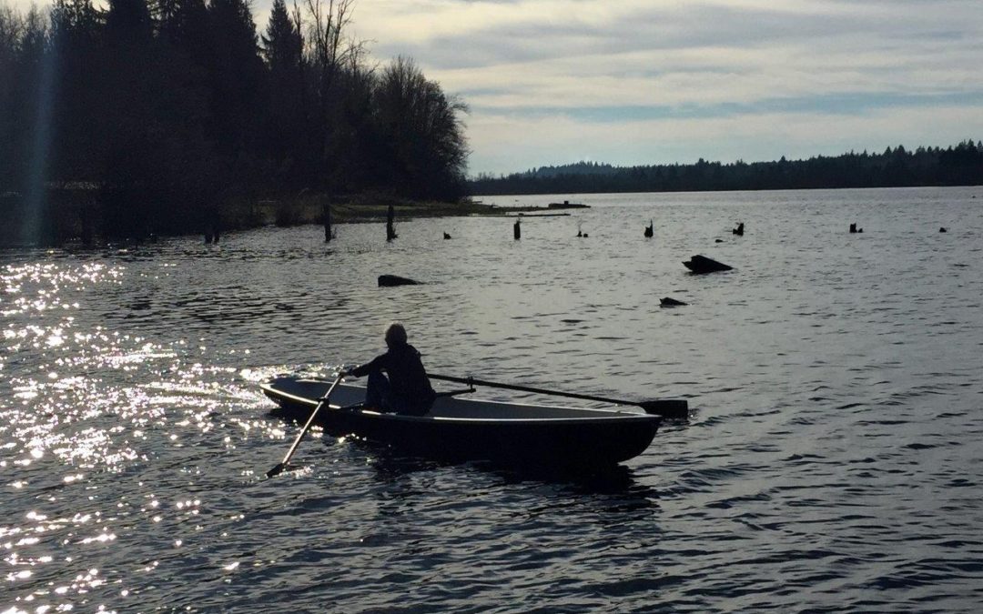 Devlin Duckling 17 rower featured image